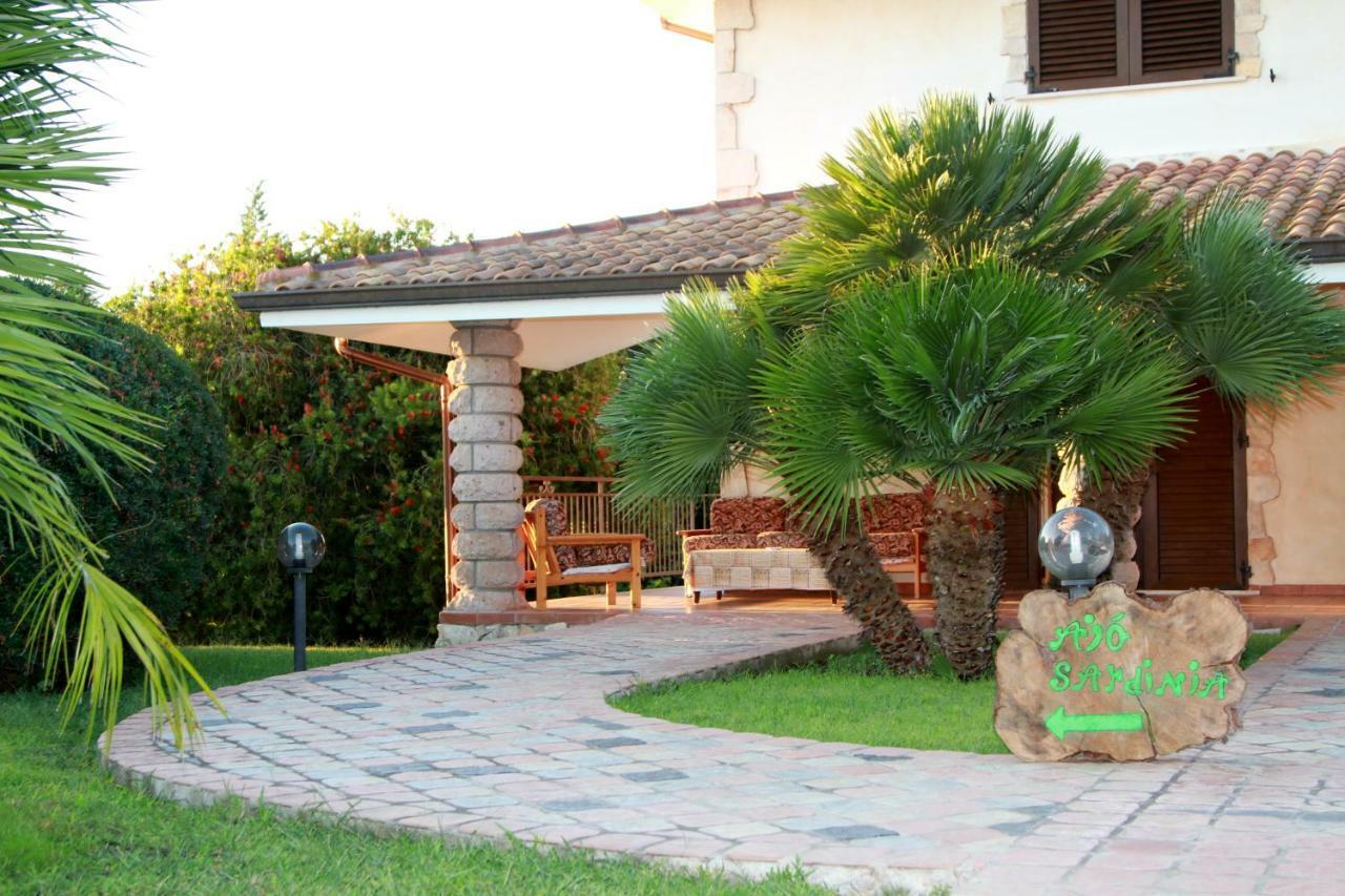 Ajo Sardinia Olmedo