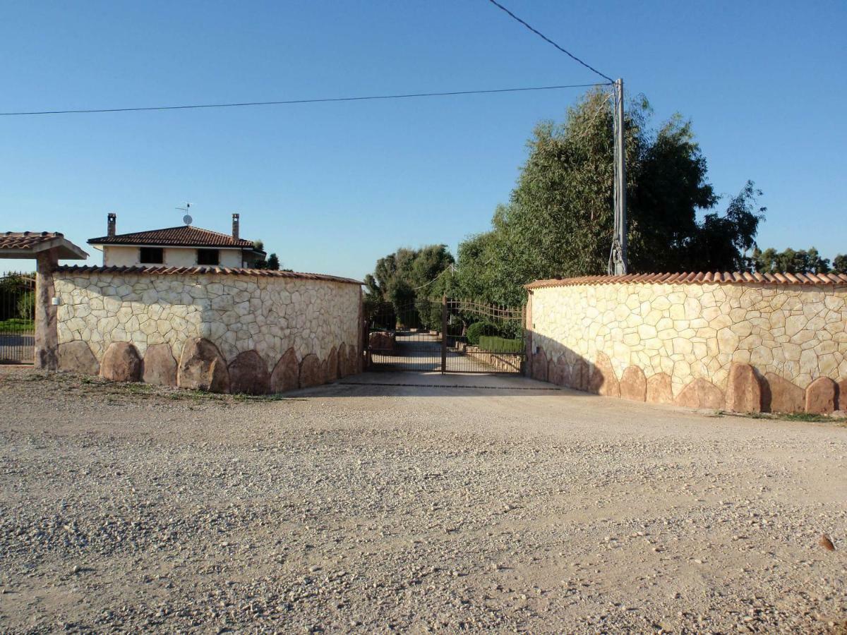 Ajo Sardinia Olmedo