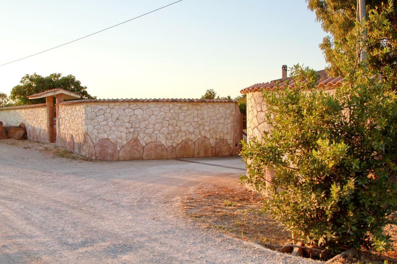 Ajo Sardinia Olmedo